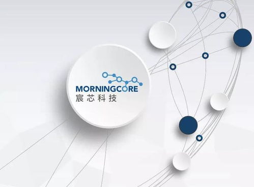 西海岸數字經濟產業新篇章 300余家企業匯聚，技術開發引領未來